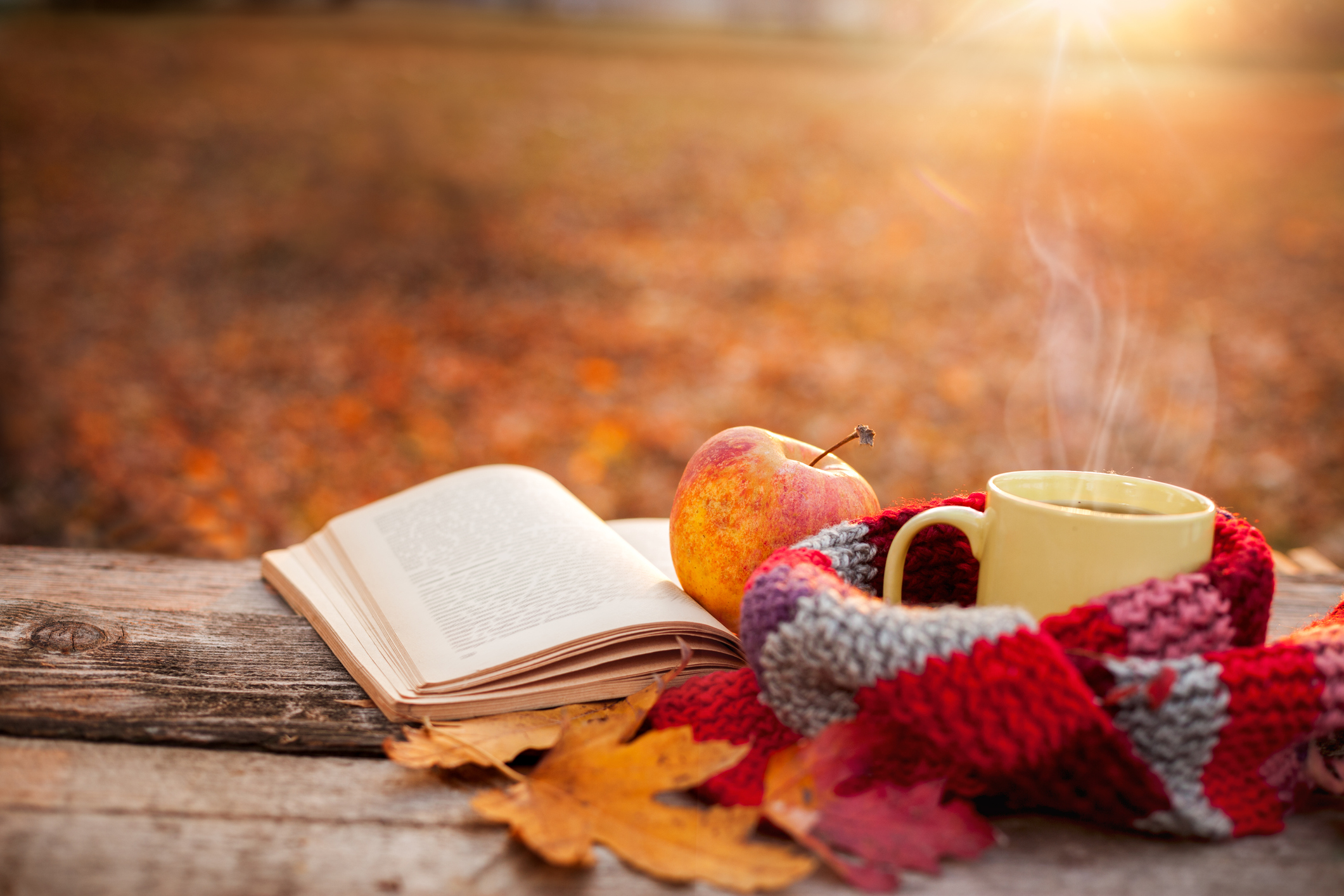 Book With Fall Leaves, Mug, And Scarf